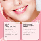 Eelhoe 10g Red Pomegranate Lip Sleeping Mask Moisture Lip Gloss Nourish Cracked Dry Lips Lightening Fine Lines Plumping Lip Mask