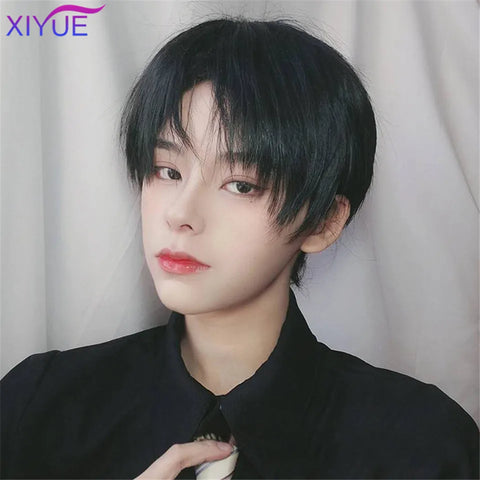 Short Synthetic Men's Breathable Wig Brown Men Boy Short Straight Cosplay Men Party Black Heat Resistant Synthetic Hair Wig