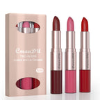 3 Color/Set Lipstick Sexy Lip Gloss 2 in 1 Lip Tint Waterproof Long-Lasting Moisture Red Lips Matte Lip Stick Makeup for Women