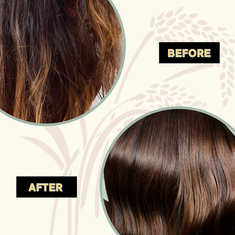 1-3PCS Rice Shampoo & Conditioner Bar Soild Soap for Hair Growth Strengthening Hair Clean Dandruff Nourish Moisturize Hair Care