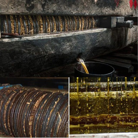 Layden Pure Argan Oil Moisturizes and Conditions Scalp Roots and Strands to Help Support Thick, Full, Healthy-looking Hair