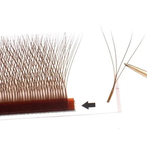 MARIA 4D W Shaped Beam Eyelash Extensions Patch Russian Private Label Wholesale Clusters Easy Fan Volume Lashes Makeup