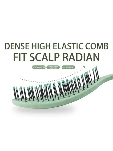 Hair Massage Comb Bristle Nylon Hairbrush Curly Detangle Hair Brush for Salon Hairdressing Tools