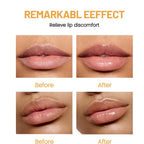 6/24pcs Assorted Fruit Flavor Lip Balm Set - Hydrating, Nourishing & Prevents Chapped Lips - Care for Dry Lips & Fine Lines