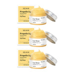 Propolis Lip Sleeping Mask Exfoliating Moisturizing Fade Lip Lines Repair Lip Treatment for Dry & Chapped Lips Overnight Care