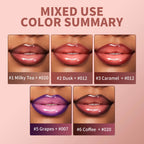 Matte Lip Makeup Kit 2pcs Waterproof Long Lasting Lip Liner and Lip Oil Combo Red Brown Pink Nude Tones Lipstick Set