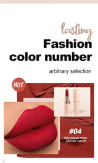 8 Colors Deep Red Matte Lipstick Waterproof Non-Stick Velvet Texture Easy Apply Rose Red Lip Makeup Long-Lasting Cosmetics