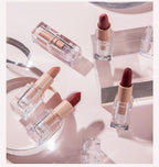 Handaiyan 12 Colors Matte Waterproof Velvet Nude Lipstick Sexy Red Brown Pigments Makeup Long Lasting Profissional