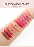 Handaiyan 12 Colors Matte Waterproof Velvet Nude Lipstick Sexy Red Brown Pigments Makeup Long Lasting Profissional
