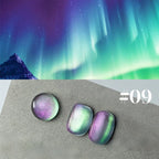 12ML 1-6PCS Popular Winter Internet Celebrity Hot-selling Northern Lights Cat Eye Magnet Gel Nail Polish Nail Art Nail Supplies