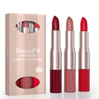 3 Color/Set Lipstick Sexy Lip Gloss 2 in 1 Lip Tint Waterproof Long-Lasting Moisture Red Lips Matte Lip Stick Makeup for Women