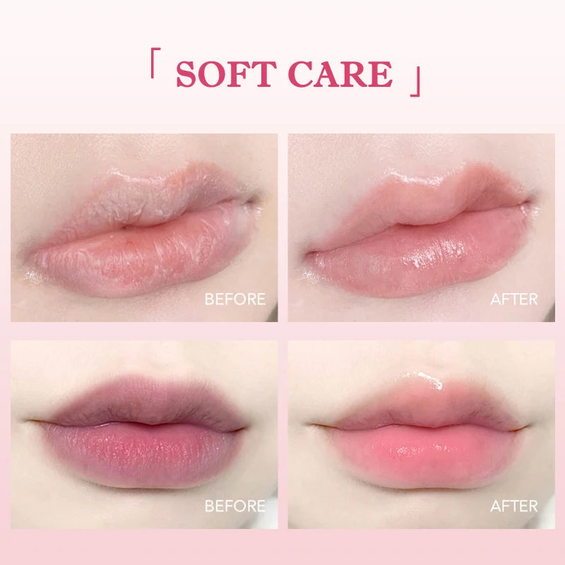 6Pcs Fruit-Flavored Lip Balm Set Aloe Vera Deeply Hydrating Lip Moisturizer Lip Care Product Reduce Lip Lines & Plump Lips