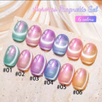 12ML 1-6PCS Popular Winter Internet Celebrity Hot-selling Northern Lights Cat Eye Magnet Gel Nail Polish Nail Art Nail Supplies