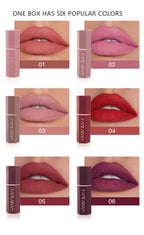 Matte Velvet Lipstick Waterproof Lasting Purple Tint Lip Gloss Non Stick Cup Moisturize Lipstick Not Fading Luxury Lips Makeup