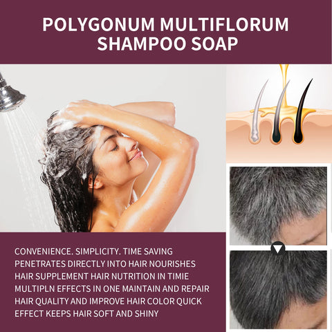 Polygonum Multiflorum Shampoo Soap Remove Dandruff Reduct Hair Loss Restore Natural Black Hair Strengthen Hair Roots Hair Care