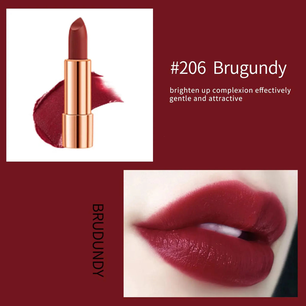 Matte Lipstick Set 3 Colours with Silver Chain Shining Bag Waterproof Non-Stick Long Lasting Red Lip Makeup 3.5gx3pcs