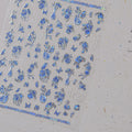 1pcs Dream Flower Window Shell Light Nail Art Stickers Japanese Flower Self Adhesive Stickers Press On Nails Decoration Decals