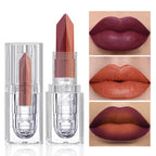 Orange Lipstick Lip Glaze Silky Smooth Matte Lip Gloss Carrot Bright Color Lasting Lip Stick Sexy Women Cosmetics Makeup Product