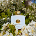 100ml Women’s AMOUAGE Parfum Long Lasting Luxury Oriental Floral Perfume Collection with Spicy Woody Fruity Sweet Elegant Scents