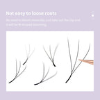 DIYDAY W Shape Eyelash Extension 3d 4d 5d 6d 7d 8d W-Shaped Eyelashes Premade Fans Individual BASF Mink Faux Lashes