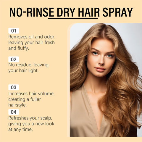 Rosemary No-Rinse Dry Hair Spray Oil Control Hair No-wash Dry Hair Spray Airy Fluffy Head Emergency Degreasing Leave-on Spray