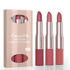 3 Color/Set Lipstick Sexy Lip Gloss 2 in 1 Lip Tint Waterproof Long-Lasting Moisture Red Lips Matte Lip Stick Makeup for Women