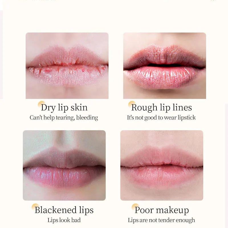 Vitamin E Honey Lip Balm Long-lasting Moisturizing Anti Cracking Nourishing Lipstick Smoothing Lip Lines Makeup Lip Care Product