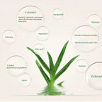 99% Aloe Vera Softening Powder Waterproof Moisturizing Concealer Foundation Fixed Make Up Oil Control Facial Brighten Cosmetics