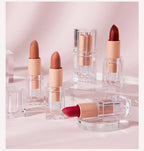 Handaiyan 12 Colors Matte Waterproof Velvet Nude Lipstick Sexy Red Brown Pigments Makeup Long Lasting Profissional